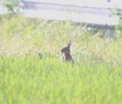aIMG_9430a.JPG