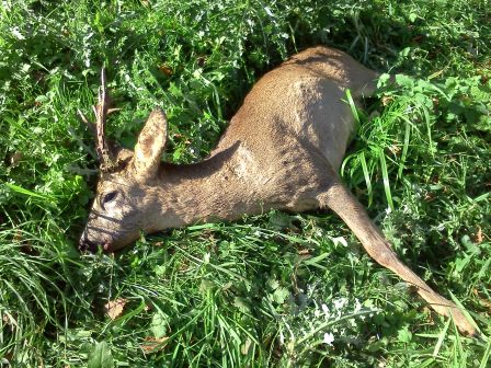 Ben le 23 oct a LIGNY
