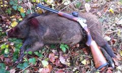 2012 11 18 ligny 1