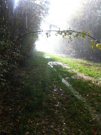 ligny petite pluie