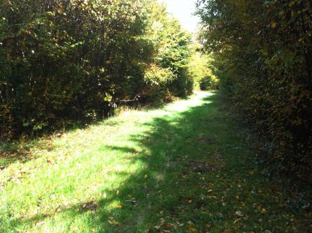 ligny beau temps